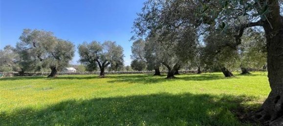 1 Schlafzimmer Haus in Ceglie Messapica, Italy, Nr. 62185 16