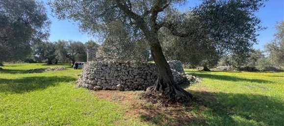 1 Schlafzimmer Haus in Ceglie Messapica, Italy, Nr. 62185 21