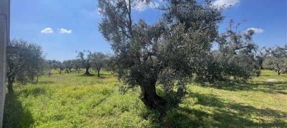 1 Schlafzimmer Haus in Ceglie Messapica, Italy, Nr. 62185 11