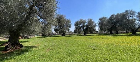 1 Schlafzimmer Haus in Ceglie Messapica, Italy, Nr. 62185 19