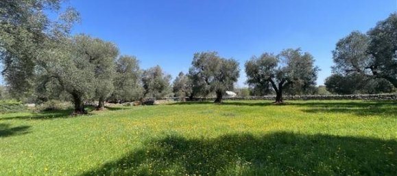 1 Schlafzimmer Haus in Ceglie Messapica, Italy, Nr. 62185 15