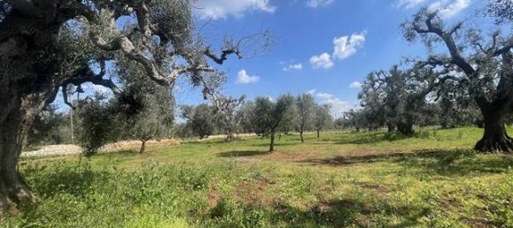 1 Schlafzimmer Haus in Ceglie Messapica, Italy, Nr. 62185 13