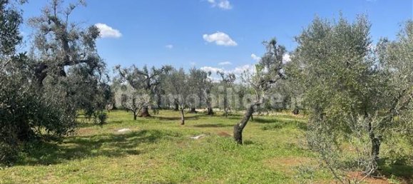 1 Schlafzimmer Haus in Ceglie Messapica, Italy, Nr. 62185 22