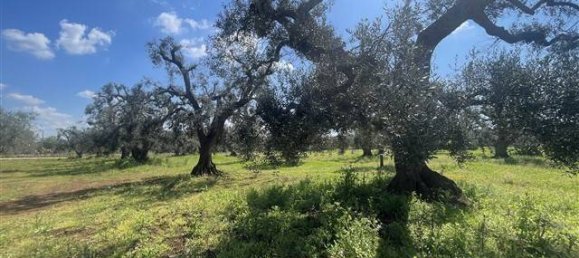 1 Schlafzimmer Haus in Ceglie Messapica, Italy, Nr. 62185 14