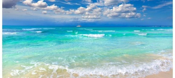 7 bedrooms Castles in Campos, Spain No. 185427 13