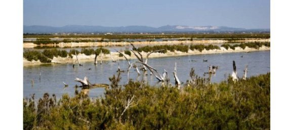 7 bedrooms Castles in Campos, Spain No. 185427 18