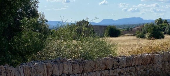 7 bedrooms Castles in Campos, Spain No. 185427 3