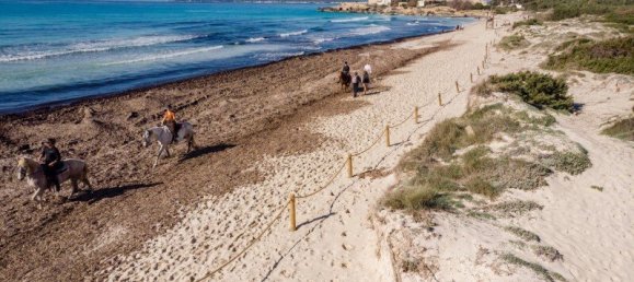 7 bedrooms Castles in Campos, Spain No. 185427 15