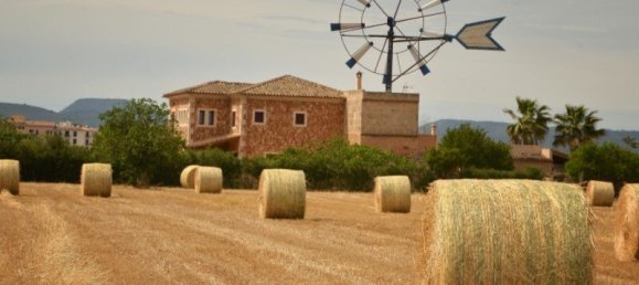 7 bedrooms Castles in Campos, Spain No. 185427 14