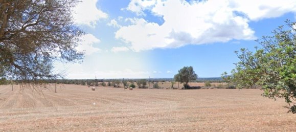 7 bedrooms Castles in Campos, Spain No. 185427 12