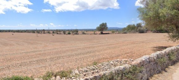 7 bedrooms Castles in Campos, Spain No. 185427 10