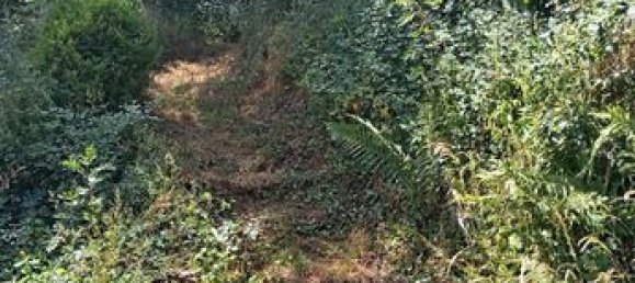 3 Schlafzimmer Haus in Indre, France, Nr. 306172 18