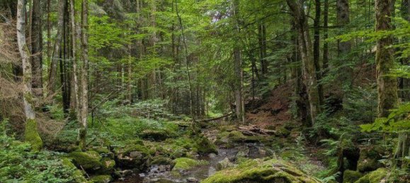 3 غرف نوم عقار تجاري في Klaffer am Hochficht, Austria رقم 208526 10