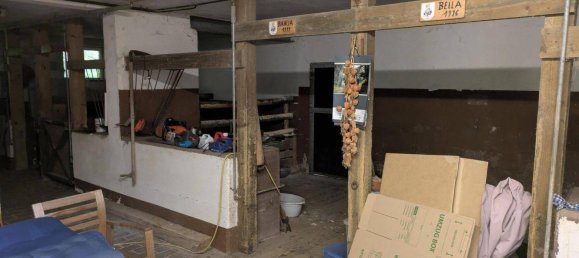 3 غرف نوم عقار تجاري في Klaffer am Hochficht, Austria رقم 208526 6