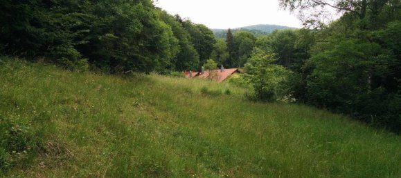 3 غرف نوم عقار تجاري في Klaffer am Hochficht, Austria رقم 208526 25