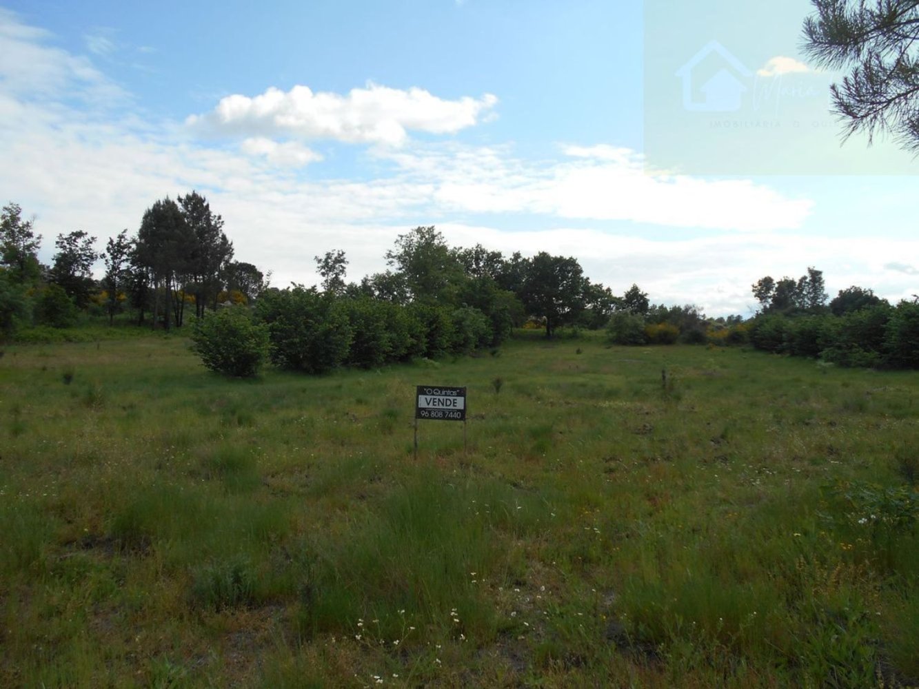  Land in Meruge, Portugal No. 264631