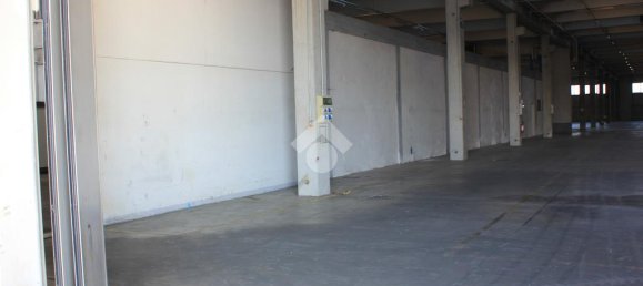 5763m² Warehouse in Luzzara, Italy No. 60478 10