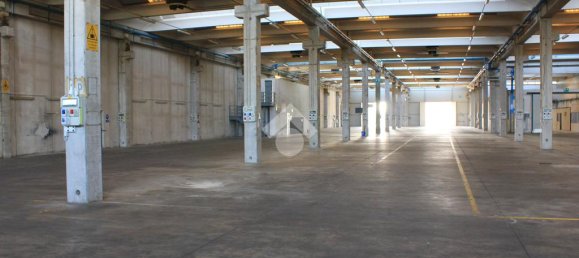 5763m² Warehouse in Luzzara, Italy No. 60478 29