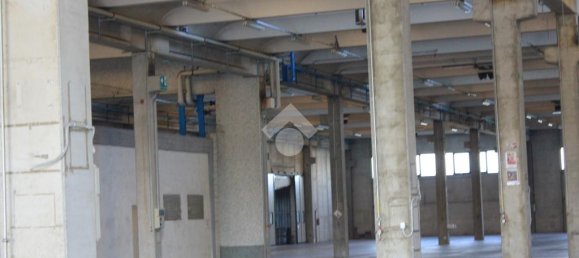 5763m² Warehouse in Luzzara, Italy No. 60478 5