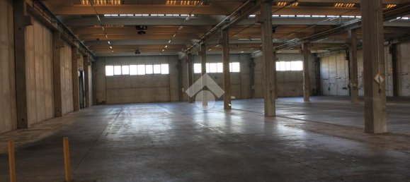 5763m² Warehouse in Luzzara, Italy No. 60478 19