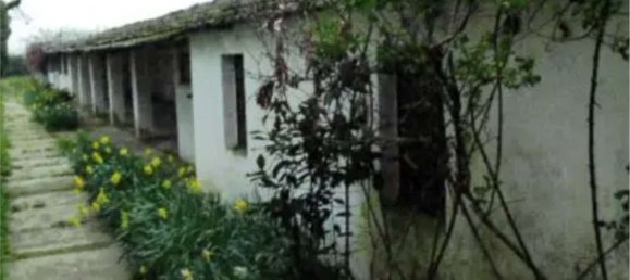 5 bedrooms Apartment in Alessandria, Italy No. 364390 3