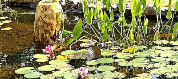 2 Schlafzimmer Haus in Dithmarschen, Germany, Nr. 18910 2