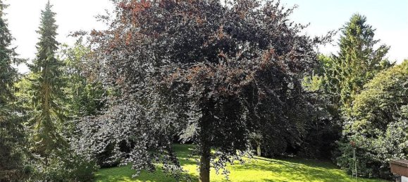 2 Schlafzimmer Haus in Dithmarschen, Germany, Nr. 18910 9