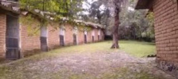 استوديو في Morelos, Mexico رقم 181151 2