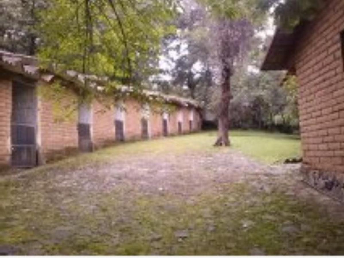 استوديو في Morelos, Mexico رقم 181151