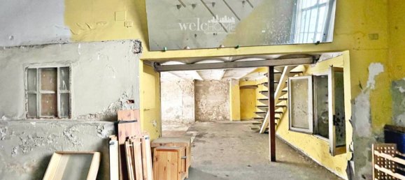 2 rooms Commercial property in Signa, Italy No. 89524 6