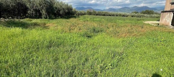 5-salle Maison à Montecorvino Pugliano, Italy No. 118535 7