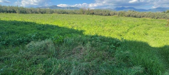 5-salle Maison à Montecorvino Pugliano, Italy No. 118535 2