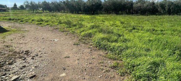 5-salle Maison à Montecorvino Pugliano, Italy No. 118535 5