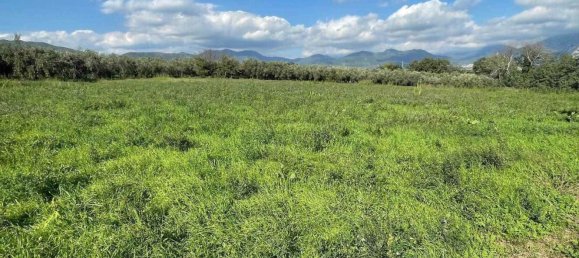 5-salle Maison à Montecorvino Pugliano, Italy No. 118535 4