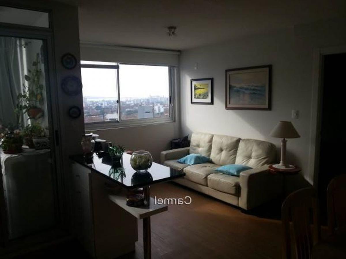 Studio à Montevideo, Uruguay No. 8564