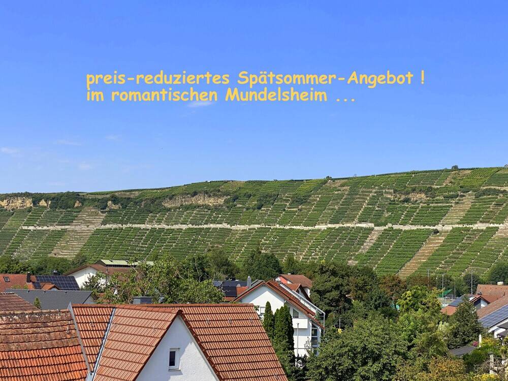 5 غرف نوم تاون هاوس في Ludwigsburg, Germany رقم 31160