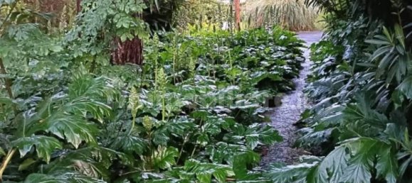 3 غرف نوم فيلا في Massa, Italy رقم 49408 26