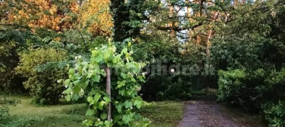 3 غرف نوم فيلا في Massa, Italy رقم 49408 29