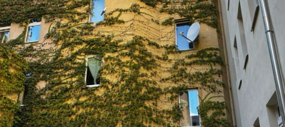 1 غرف نوم شقة في Kreuzberg, Germany رقم 227708 14