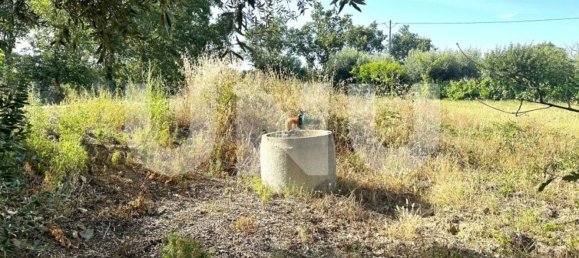 Terreno en Fundao, Portugal 7680 m² No. 76968 9