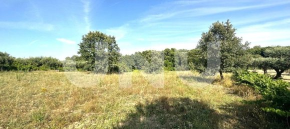 Terreno en Fundao, Portugal 7680 m² No. 76968 7