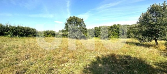 Terreno en Fundao, Portugal 7680 m² No. 76968 2