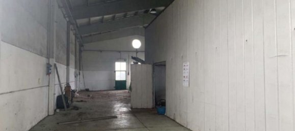 1041m² Warehouse in San Giuliano Terme, Italy No. 372696 10