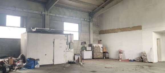 1041m² Warehouse in San Giuliano Terme, Italy No. 372696 6