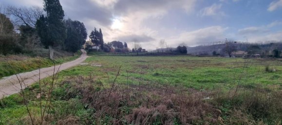 Grundstück in Fauglia, Italy 2000m², Nr. 106615 2