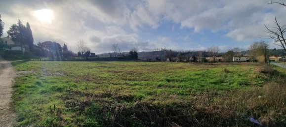 Grundstück in Fauglia, Italy 2000m², Nr. 106615 3