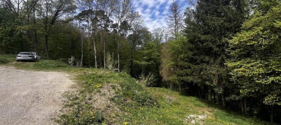 Casa de 4 habitaciónes en Gars am Kamp, Austria No. 210439 24