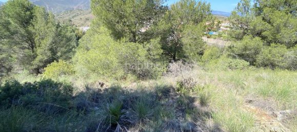 Terrain à Alhaurin el Grande, Spain 4143m² No. 126110 3