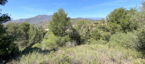 Terrain à Alhaurin el Grande, Spain 4143m² No. 126110 43