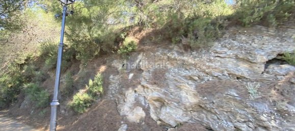 Terrain à Alhaurin el Grande, Spain 4143m² No. 126110 18